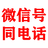 仲巴金鑫追债公司